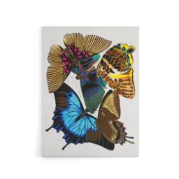 "Artery8 Colourful Vintage Butterflies Canvas Wall Art Print Eugene Seguy - Size: W18"" x H24""" - thumbnail 1