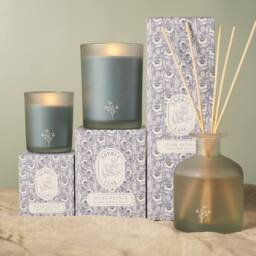 Sophia Lane Dune Petals Floral Candle - 100g in Light Blue - thumbnail 6