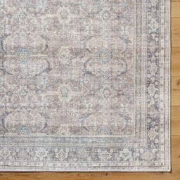 Livabliss Becki Owens Darling-Washable Grey Brown Traditional Vintage Boho Living Dining Rug in Silver - Size: 160 cm x 215 cm - thumbnail 9