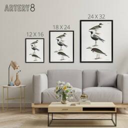 "Artery8 James De Kay Ring Plover Snipe & Kildeer Framed Canvas Art Print in White - Size: W12"" x H16""" - thumbnail 4
