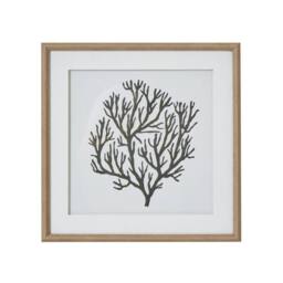 Lemon Pavilion Furniture and Decor Atol Coral Art Mounted in Beaded Frame - L2 x W40 x H40 cm - Brown - thumbnail 1