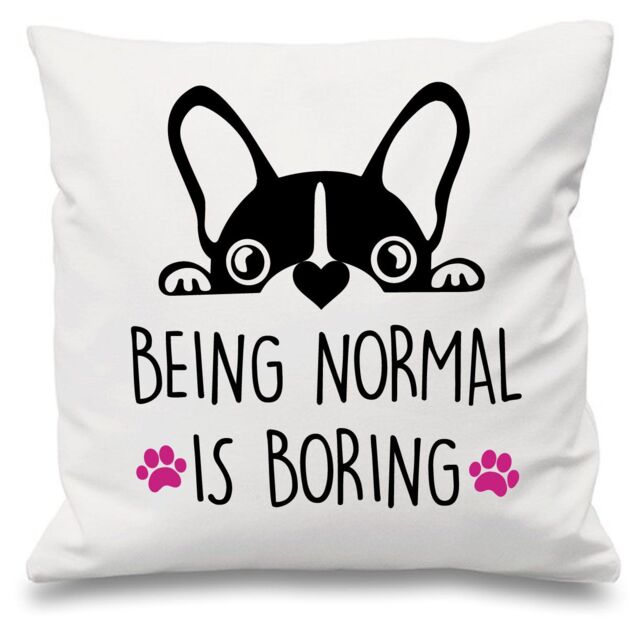"60 SECOND MAKEOVER Frenchie Being Normal Is Boring White Cushion Cover 16"" x 16"" Mum Friend Gift French Bull Dog - Size: 40 cm x 40 cm"