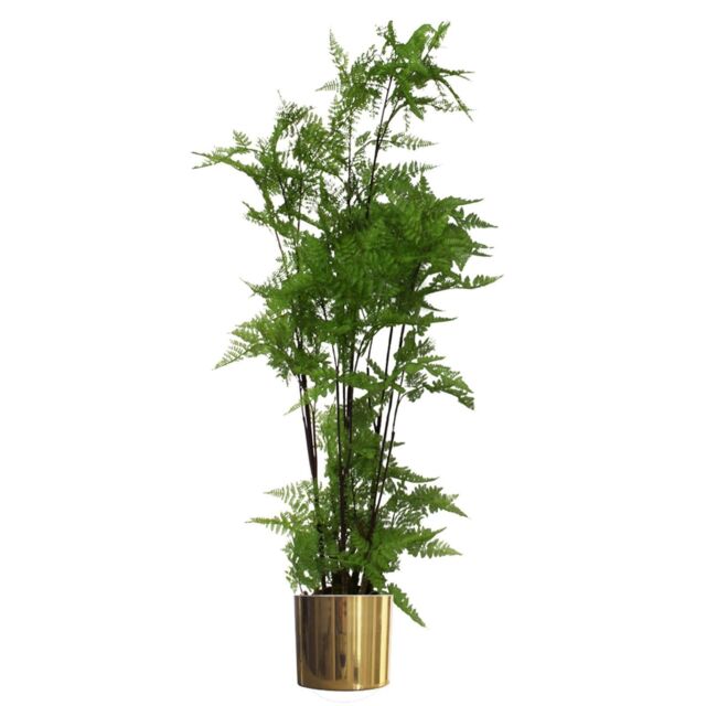 Leaf Artificial 150cm Moss Base Fern Foliage Plant with Gold Planter in Green - image 1