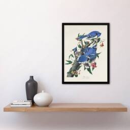 "Artery8 Blue Jay & Trumpet Flowers Audubon Nature Framed Wall Art Print in White - Size: W12"" x H16""" - thumbnail 4