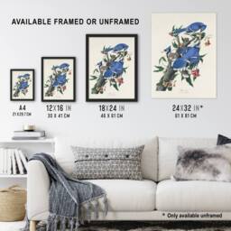 "Artery8 Blue Jay & Trumpet Flowers Audubon Nature Framed Wall Art Print in White - Size: W12"" x H16""" - thumbnail 3