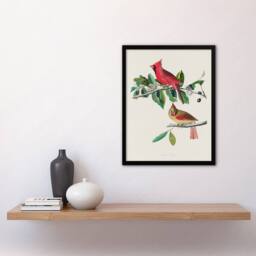 Artery8 John James Audubon Framed Wall Art Print Cardinal Grosbeak Bird in White - Size: A4 - thumbnail 2