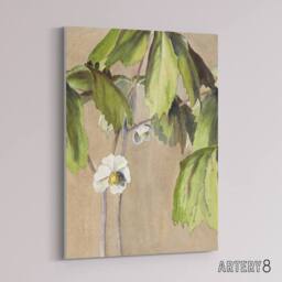 "Artery8 May Apple Flower Watercolour Canvas Wall Art Print Overbeck in Beige - Size: W18"" x H24""" - thumbnail 2