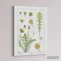 "Artery8 Dandelion Flower Canvas Wall Art Print Vintage Floral Verneuil in White - Size: W18"" x H24""" - thumbnail 2