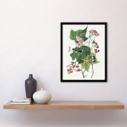 Artery8 John James Audubon Framed Wall Art Print Black & Yellow Warblers in White - Size: A4 - thumbnail 2