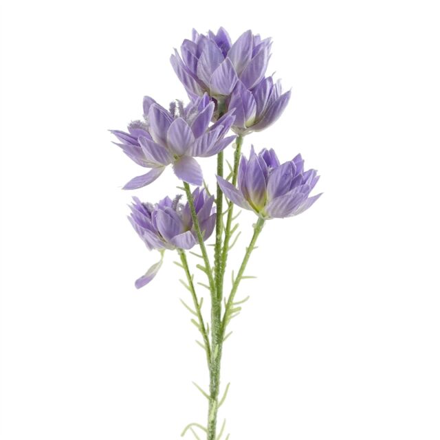 Leaf 60cm Artificial Purple Starflower Stem 5 Flowers - image 1