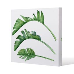 Benjamin Tate Design Triple Botanical (Canvas Print) / 46 x 46 x 4cm in Natural - Size: 46 x 46 x 4 cm - thumbnail 1