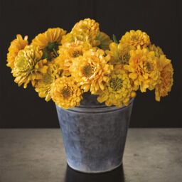 mysmartbuy Florist's Bucket - Galvanised Steel Flower Vase in Silver - Size: Small - thumbnail 2