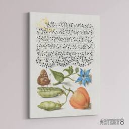 "Artery8 Talewort Pea & Lantern Plant Calligraphy Canvas Wall Art Print in White - Size: W12"" x H16""" - thumbnail 2