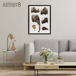 "Artery8 Animals Vintage Illustration Lydekker Black Framed Canvas Art Print in White - Size: W12"" x H16""" - thumbnail 3