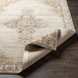 Livabliss Fifth Avenue-Vintage Brown Off-White Grey Traditional Boho Living Rug - Size: 200 cm x 275 cm - thumbnail 4