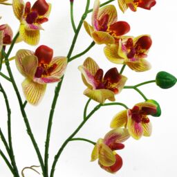 Leaf 43cm Pink Yellow Artificial Orchid in Ceramic Planter - thumbnail 4