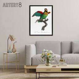 "Artery8 The Orange Cheeked Parrot Levaillant Framed Canvas Wall Art Print in White - Size: W12"" x H16""" - thumbnail 3