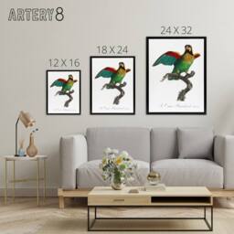 "Artery8 The Orange Cheeked Parrot Levaillant Framed Canvas Wall Art Print in White - Size: W12"" x H16""" - thumbnail 4
