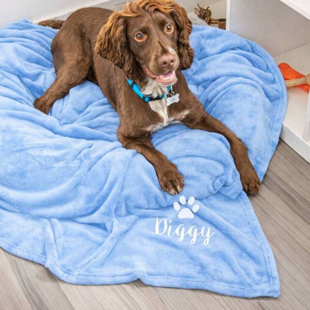Duncan Stewart Personalised Dog Blanket Throw in Light Blue - image 1