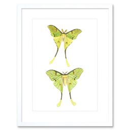 "Artery8 Wall Art Print Moths Green Art Framed 9x7 inch in White - Size: W7"" x H9""" - thumbnail 1