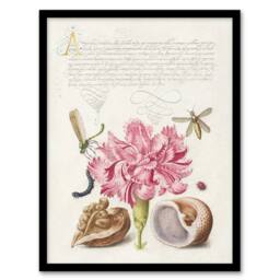 "Artery8 Carnation Walnut & Mollusk Calligraphy Framed Wall Art Print in White - Size: W12"" x H16""" - thumbnail 1