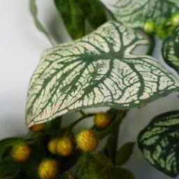 Leaf 150cm Artificial Hanging Trailing Plant Alocasia Sinuata in Green - thumbnail 4