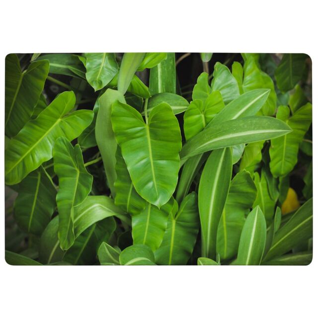 Benjamin Tate Design Abstract Background Of Dark Green Leaves Designer Rug in Natural - Size: Large - image 1