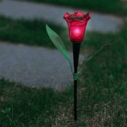 Voltico Set of 4 Solar Tulip Stake Lights Bright White LED - Size: 4 Pack - thumbnail 3