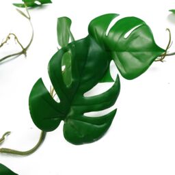 Leaf 100cm Artificial Hanging Trailing Monstera Plant in Green - thumbnail 3