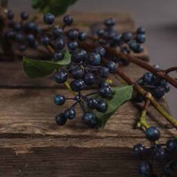 Lemon Pavilion Furniture and Decor Viburnum Berry Artificial Plant - Plastic - L11 x W11 x H80 cm - Blue - thumbnail 3