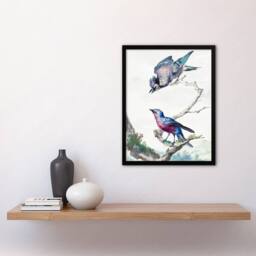 Artery8 Aert Schouman Framed Wall Art Blue Jay & a Purple Breasted Cotinga in White - Size: A4 - thumbnail 2