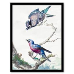 Artery8 Aert Schouman Framed Wall Art Blue Jay & a Purple Breasted Cotinga in White - Size: A4 - thumbnail 1