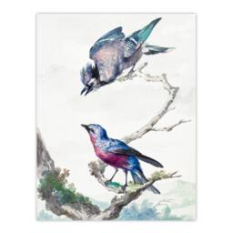 Artery8 Aert Schouman Framed Wall Art Blue Jay & a Purple Breasted Cotinga in White - Size: A4 - thumbnail 3