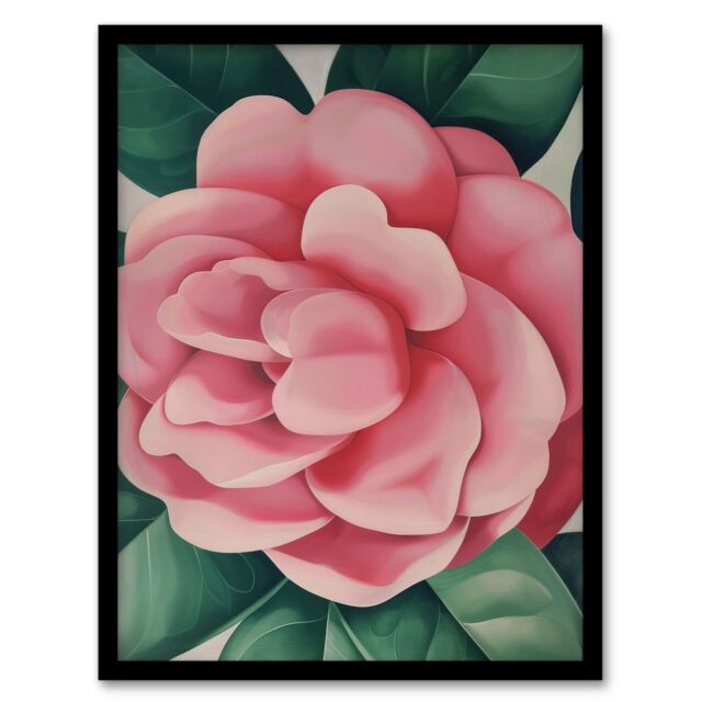 Artery8 Winter Rose Camelia Flower Watercolour Painting Framed Art Print in Pink - Size: A4 - image 1