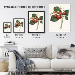 "Artery8 Boston Pine Strawberry Plant Hovey Vintage Wall Art Print Poster in White - Size: W24"" x H32""" - thumbnail 3