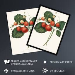 "Artery8 Boston Pine Strawberry Plant Hovey Vintage Wall Art Print Poster in White - Size: W24"" x H32""" - thumbnail 2