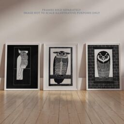 Wee Blue Coo Pack of 3 Julie de Graag Black & White Graphic Linocut Owl & Parrot Vintage Bird Unframed Wall Art Living Room Prints Set - thumbnail 6