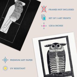 Wee Blue Coo Pack of 3 Julie de Graag Black & White Graphic Linocut Owl & Parrot Vintage Bird Unframed Wall Art Living Room Prints Set - thumbnail 4