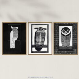 Wee Blue Coo Pack of 3 Julie de Graag Black & White Graphic Linocut Owl & Parrot Vintage Bird Unframed Wall Art Living Room Prints Set - thumbnail 5