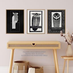 Wee Blue Coo Pack of 3 Julie de Graag Black & White Graphic Linocut Owl & Parrot Vintage Bird Unframed Wall Art Living Room Prints Set - thumbnail 2