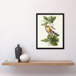 "Artery8 Mangrove Cuckoo Apple Flower Audubon Nature Framed Wall Art Print in White - Size: W12"" x H16""" - thumbnail 4