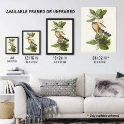 "Artery8 Mangrove Cuckoo Apple Flower Audubon Nature Framed Wall Art Print in White - Size: W12"" x H16""" - thumbnail 3