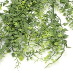 Leaf Artificial Hanging Trailing Plant UV Fire Resistant Button Fern 82cm Pack of 6 in Green - thumbnail 4