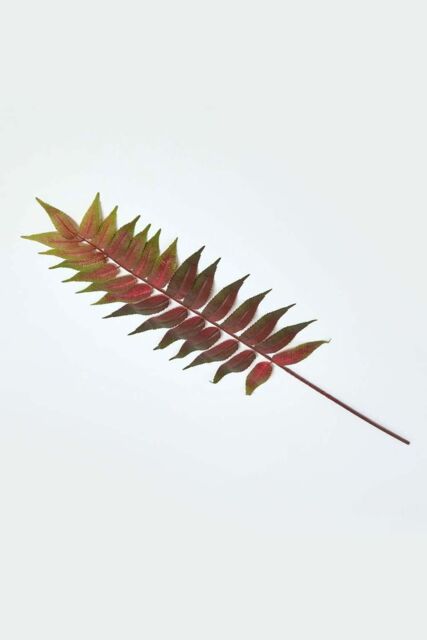 Homescapes Fern Leaf Foliage 72 cm in Green - image 1