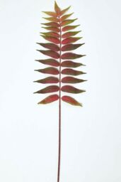 Homescapes Fern Leaf Foliage 72 cm in Green - thumbnail 2
