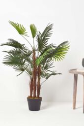 Homescapes Green 'Lady Palm' Tree Artificial Rhapis Plant with Pot, 90 cm - thumbnail 6