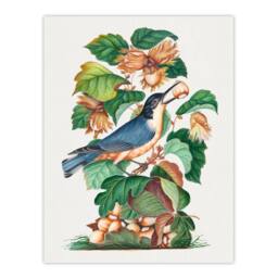 "Artery8 Nuthatch Bird Hazel Oak & Bramble Bolton Wall Art Poster Print - Size: W12"" x H16""" - thumbnail 1