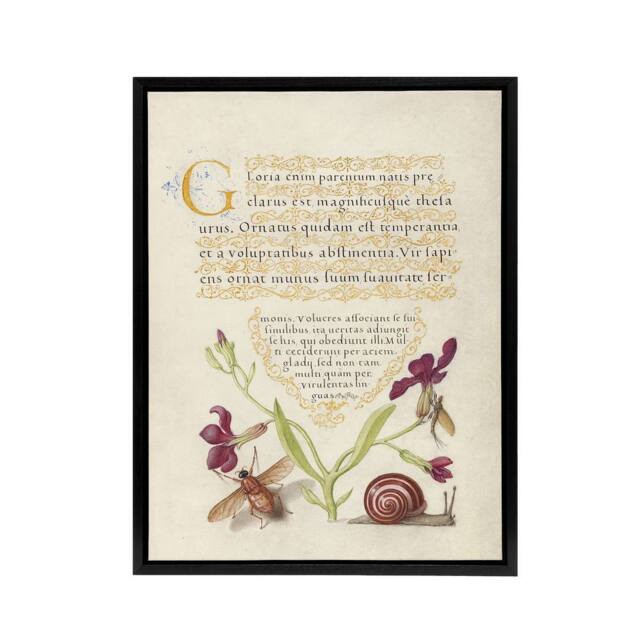 "Artery8 Gillyflower Fly Mayfly & Snail Calligraphy Framed Canvas Wall Art in Beige - Size: W24"" x H32""" - image 1