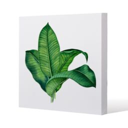 Benjamin Tate Design Bunched Leaves Slim Style Canvas Print 30x30cm in Natural - Size: 30x30 cm - thumbnail 2