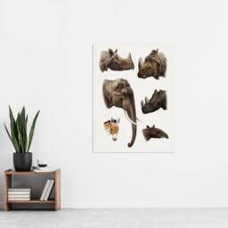 "Artery8 Animals Vintage Illustration Lydekker Wall Art Poster Print in White - Size: W12"" x H16""" - thumbnail 4